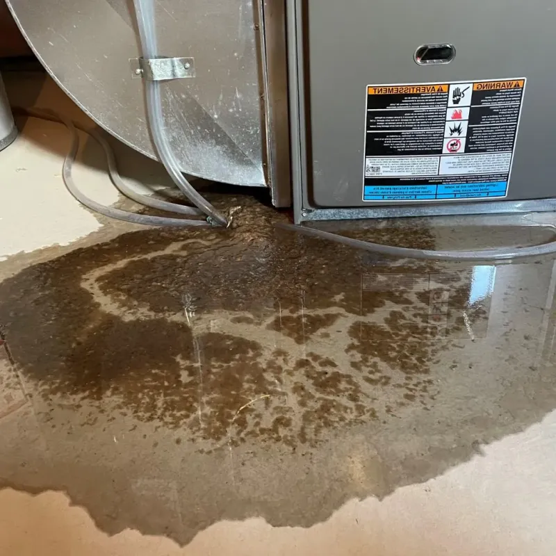 Pipe Burst and Leak Restoration in Haskell, OK