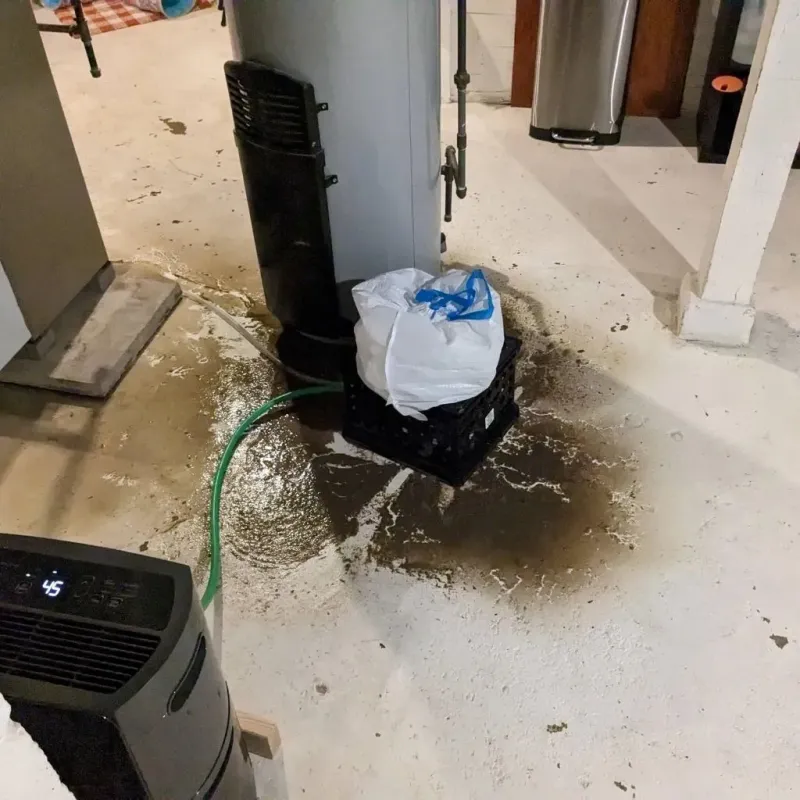 Sewage Backup Cleanup Service in Haskell, OK